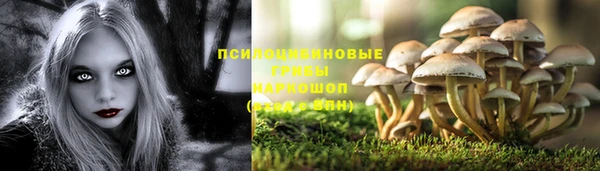 шишки Волгодонск