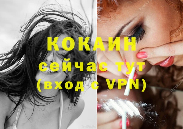 тгк Ладушкин